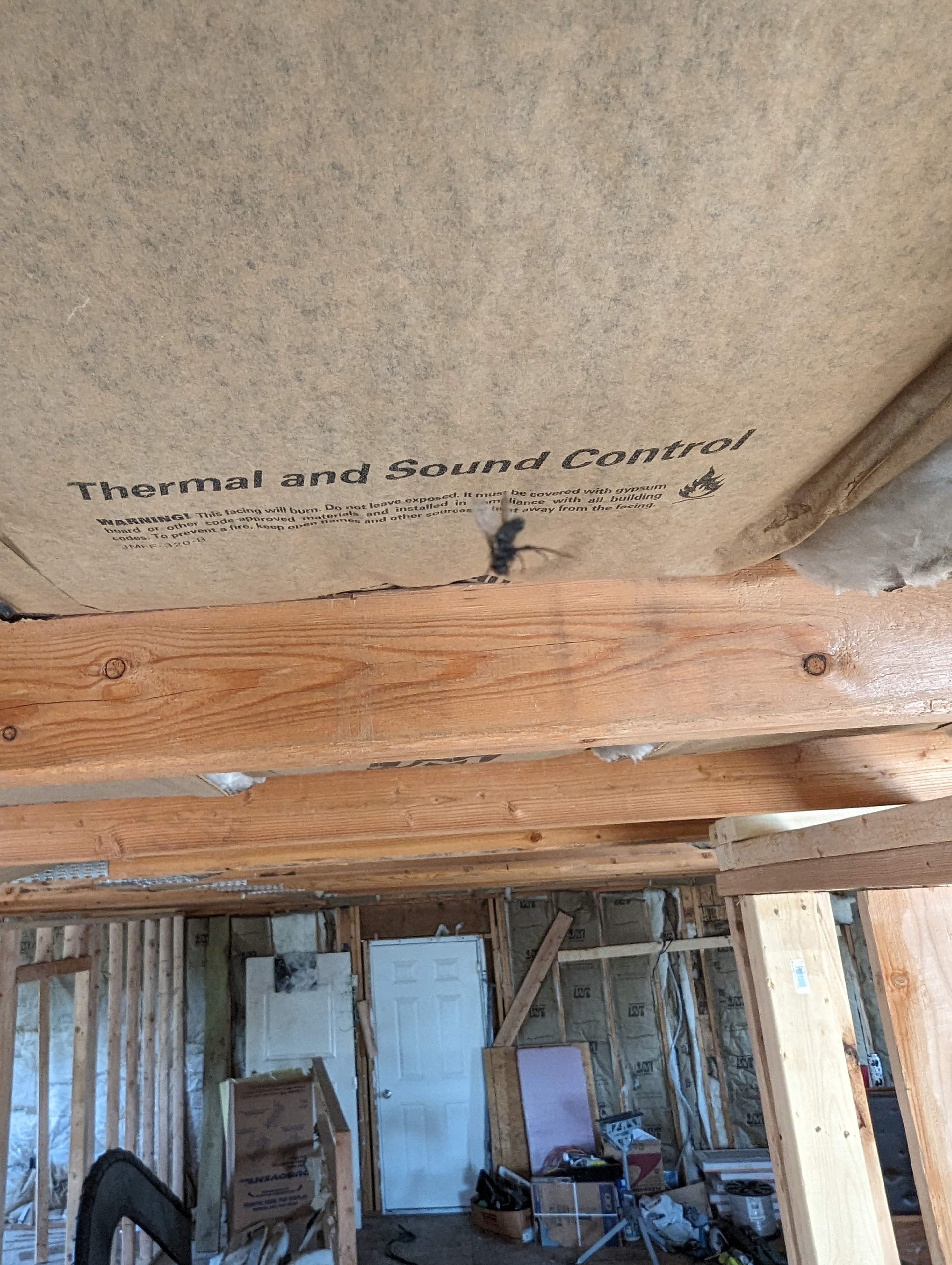 Thermal and sound control insulation installed